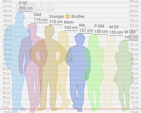 120Cm In Feet