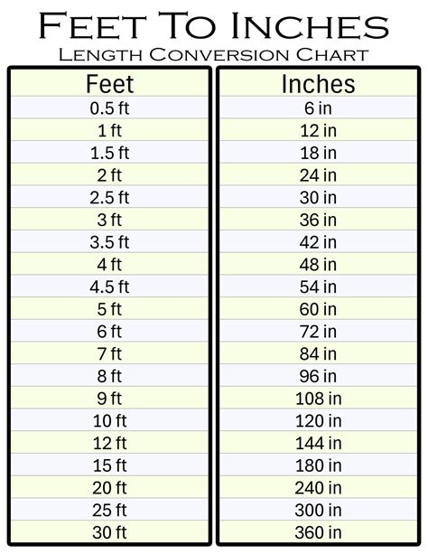 24 Inches In Feet