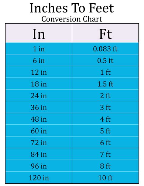 24 Inches Is How Many Feet