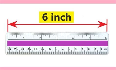 5 6 In Inches
