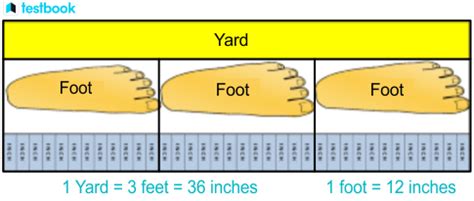 5 Yards To Feet
