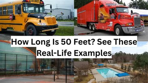 50 In To Feet