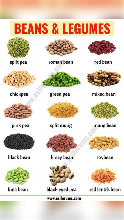 The Ultimate List Of Legumes You Need To Know