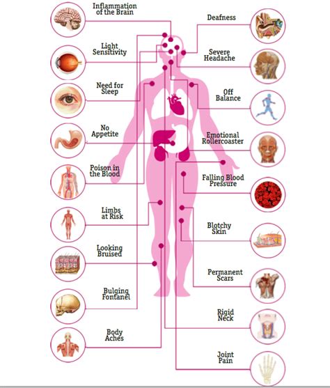 Longterm Physical And Cognitive Effects Of Bacterial Meningitis