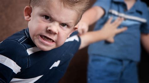 Aggressive Behavior In Preschoolers: Why It Happens And How To Stop It