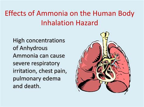 What Are The Hidden Effects Of Ammonia In The Body