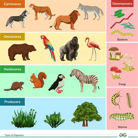Are Plants Considered Living Organisms A Simple Guide