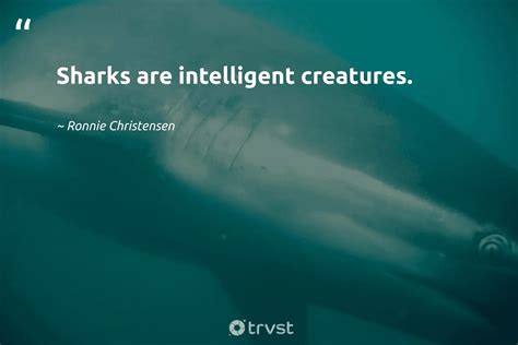 Are Sharks Actually Intelligent Creatures Or Perfect Hunters