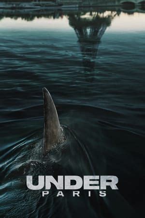Are There Really Sharks Beneath Paris Streets