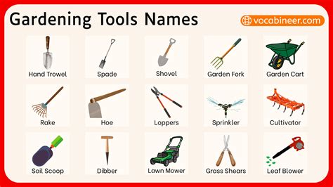 Musthave Basic Gardening Tools For Fresh Starts