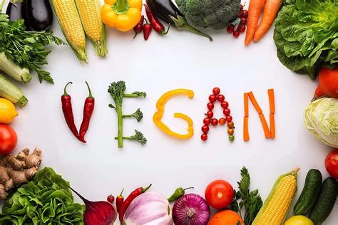 The Fundamentals Of A Vegan Diet: What You Need To Know