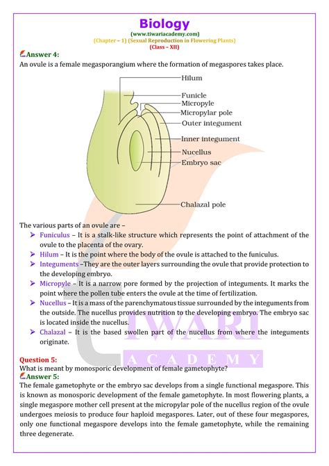 Top Ncert Biology Questions For Class 12 Board Exam