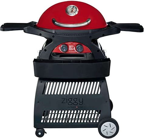 Built In Ziggy Bbq The Ultimate Guide