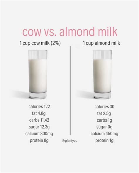 Calories In A Cup Of Milk And Why It Matters For Your Goals