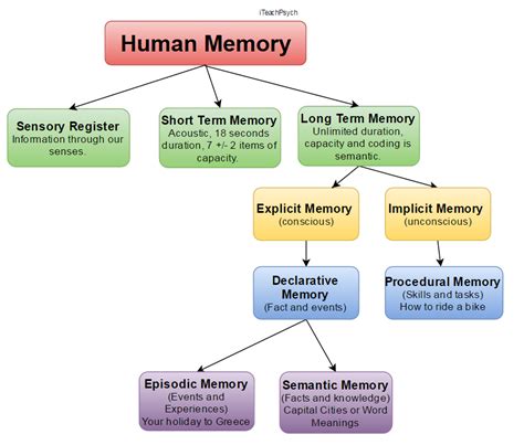 Can A Human Memory Actually Get Full And What Happens When It Does