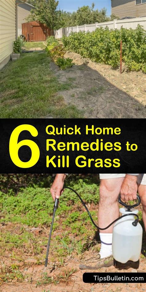 Top 5 Natural Ways To Kill Grass Without Chemicals
