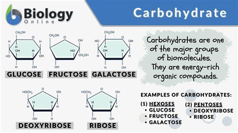 The Science Behind Carbohydrates And Their Role In The Body