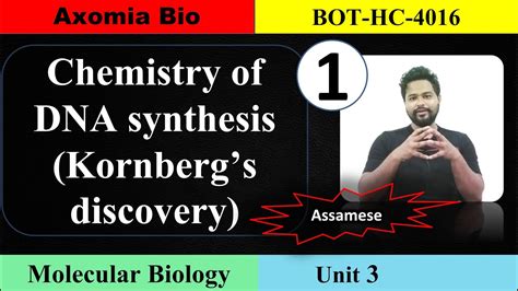 How The Chemistry Of Dna Synthesis Kornberg Discovery Revolutionized Genetics