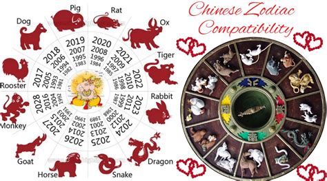 Chinese Horoscope Relationship Predictions: Unveil Love Compatibility Secrets