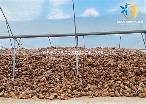 Coco Coir Near Me