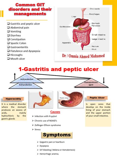 Top Digestive Health Conditions You Need To Know