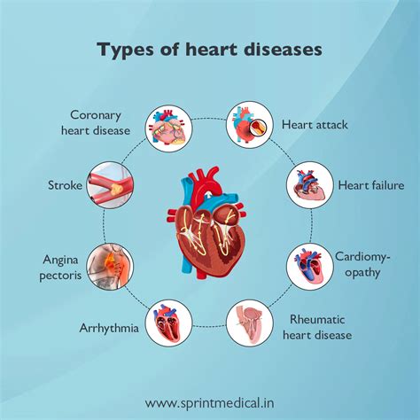 Heart Issues You Need To Know About: A Quick Guide To Common Diseases Of The Heart