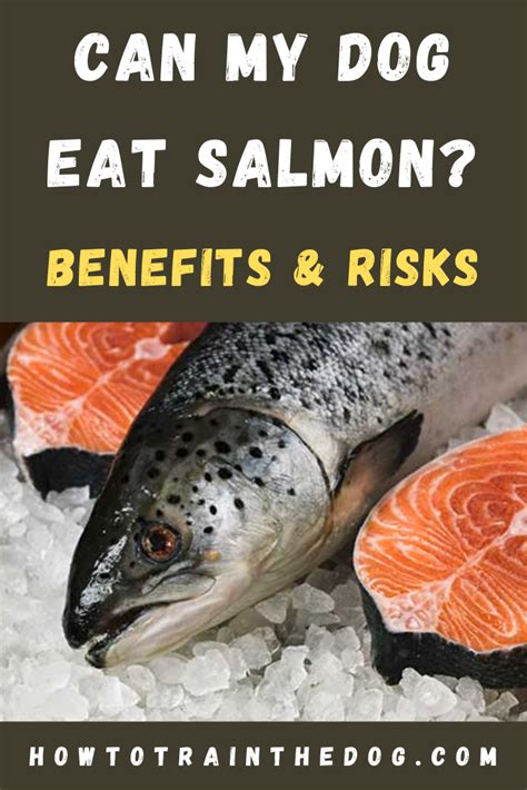 6 Signs You're Eating Too Much Fish And Health Risks