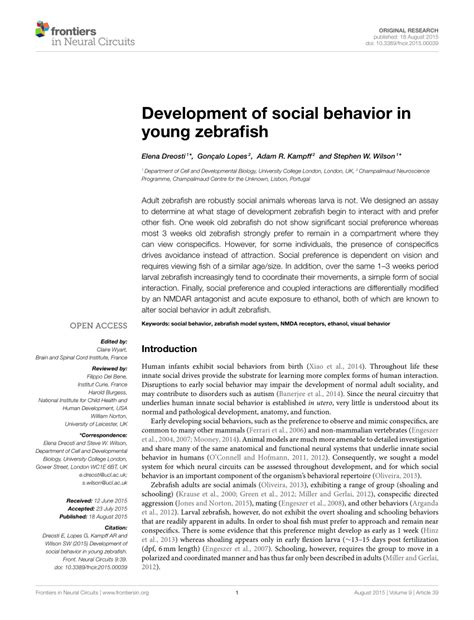 Unveiling The Development Of Social Behavior In Young Zebrafish
