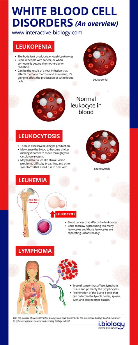 Understanding Peculiar Disorders Of Wbc
