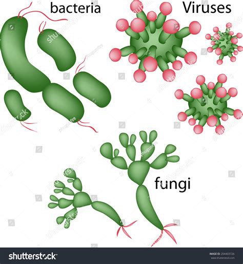 A Complete Guide To The Diversity Of Viruses, Bacteria, And Fungi Pdf