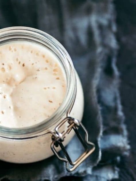 Does Freezing Kill Your Sourdough Starter Freeze Or Revive It