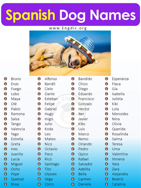 Dogs In Spanish