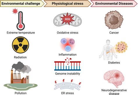 How The Environment Drives Disease Development In Modern Life