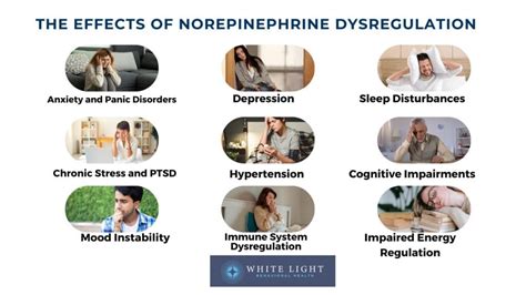 Effects Of Not Enough Norepinephrine: What Your Body Is Telling You