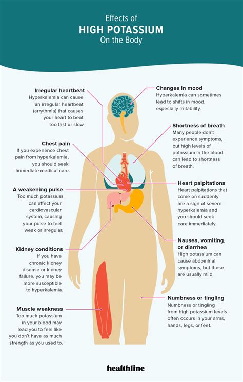 Apparent Deficiencies: Signs Your Body Needs More Potassium Right Now