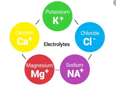 The Essential Elements Of Electrolytes You Need In Your Diet