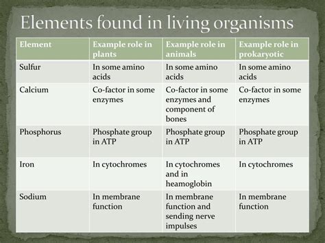 Everything Living Organisms Need To Survive