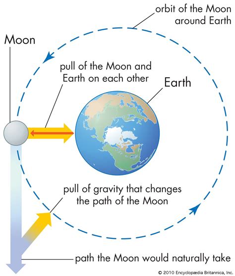 Simply Explain Gravity: What It Is And How It Works