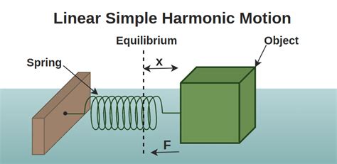 Explain Simple Harmonic Motion With Two Real World Examples