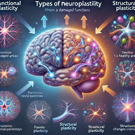 Extreme Cases Of Neuroplasticity That Will Mind Blow You