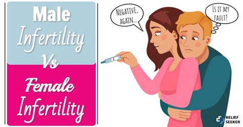 Female Vs Male Infertility: Key Differences You Need To Know