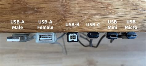 Female Vs Male Usb: What’s The Difference