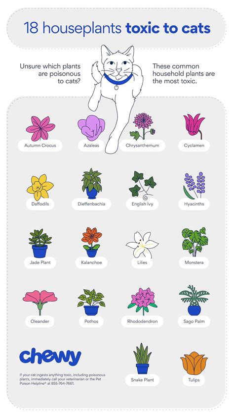 Guide To Toxic Flowers For Cats Pictures Added