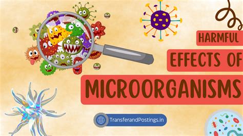 Harmful Effects Of Microorganisms Class 8: How Bacteria, Fungi, And Viruses Infect Us
