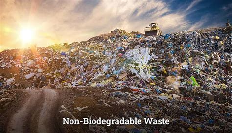 The Hidden Cost Of Non Biodegradable Waste Explained