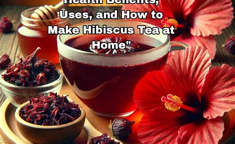 Traditional Uses Of Hibiscus Sabdariffa For Health