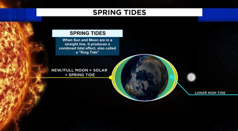 How Are Tides Useful For Us: The Hidden Benefits Beneath The Waves