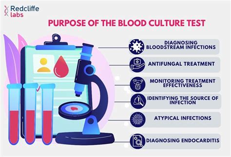 Everything You Need To Know About The How Blood Culture Test