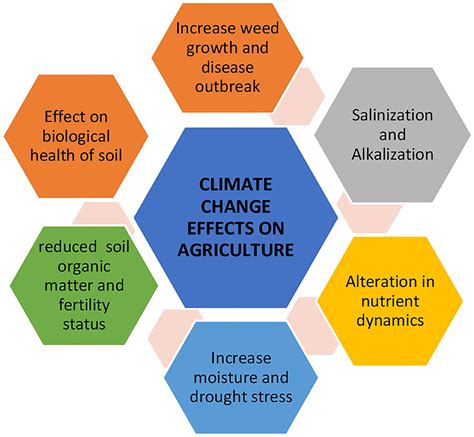 Climate Change’s Reality Check For Modern Agriculture
