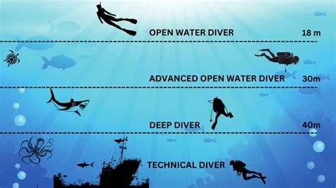 How Deep Can Open Water Divers Go The Real Limit